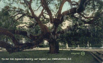 Пощенска картичка от Чарлстън, Южна Каролина